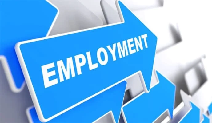 employment